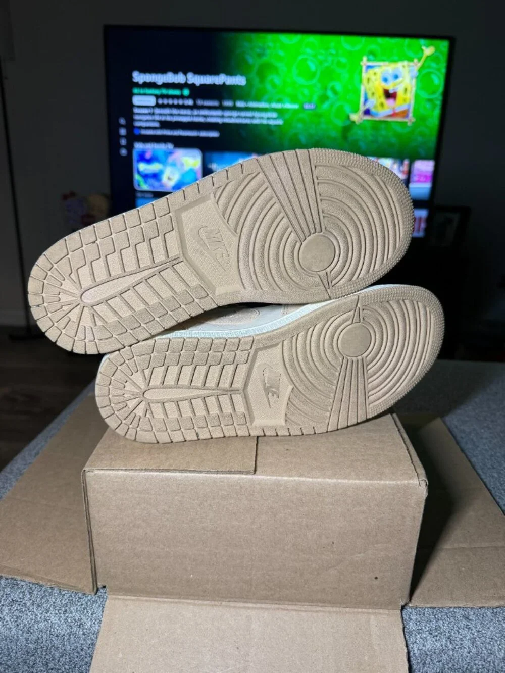Jordan 1 Mid SE